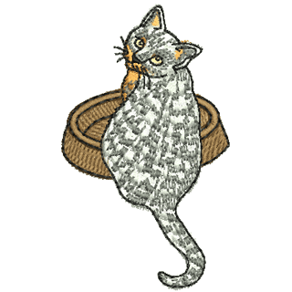 Cat 11171