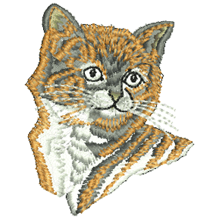 Cat 11174