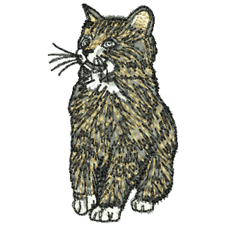 Cat 11177