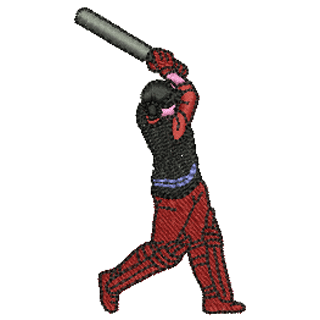 Cricket 20027