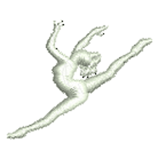 Dancer 12040