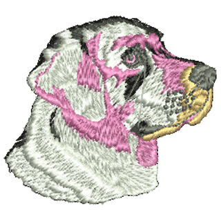 Dog 10891