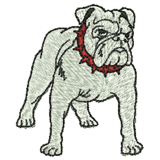 Dog 10896