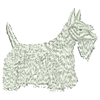Dog 10920