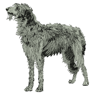 Dog 11216