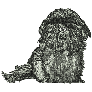 Dog 12334