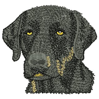 Dog 12054