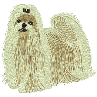 Dog 12056