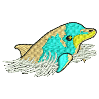 Dolphin 10653