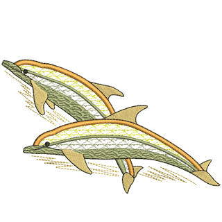 Dolphin 10661