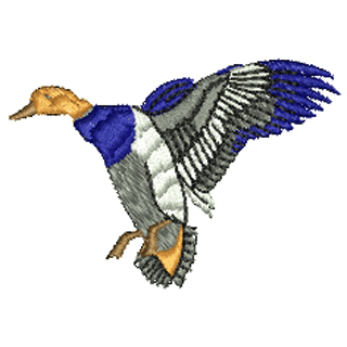 Duck 20610