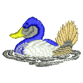 Duck 20614