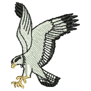 Eagle 10820