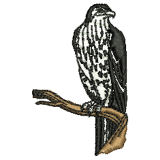 Eagle 10914