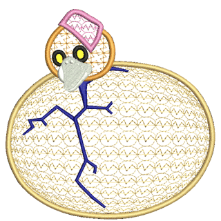 Egg Hatching 10680