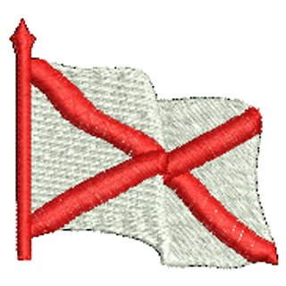 Flag 20240
