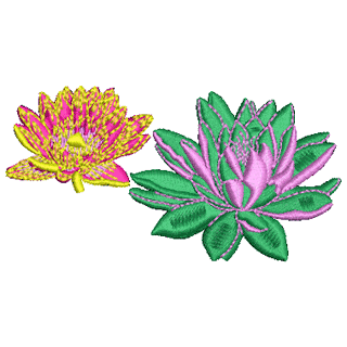 Flower 20052