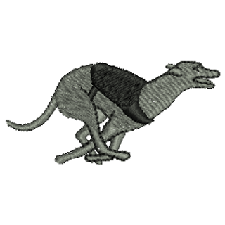 Grey Hound 10458