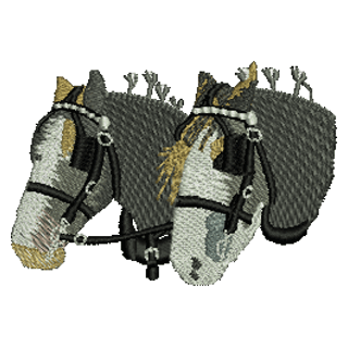 Horses 11243