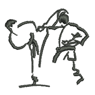 Karate 12133