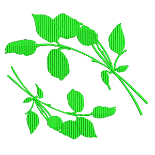 Leaves 12143