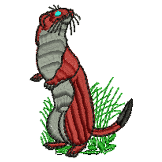 Otter 10938
