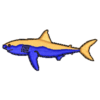 Shark 10643