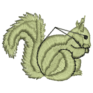Squirrel 10536