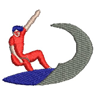 Surfing 10481