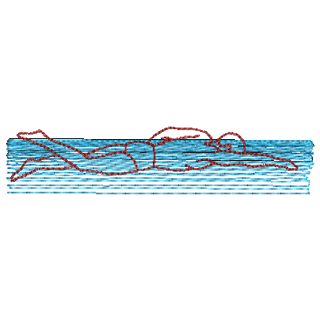 Swimming 10468