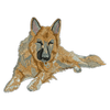 Alsatian 11185