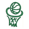 Basketball & Net 13401