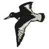 Bird Flying 11194
