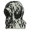 Briard Dog 11196