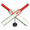 Cricket Bats 20167