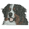Dog 12550