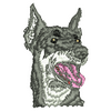 Dog 20652