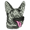Dog 20653