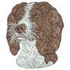 Dog 12339