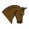 Horse 13827