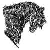 Horse Sketch 11245