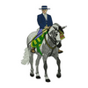 Horse and Rider Large 13843