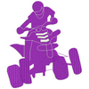 Quad Bike 11396
