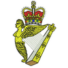 Royal Irish Regiment 12199