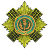 Scottish Guards 12209