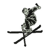 Skier 13441