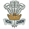 Welsh Feathers 11551