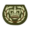 Warrent Officer Class 2 13534