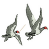 Birds 10774