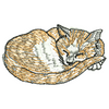 Cat 11169